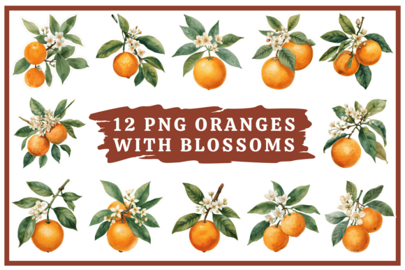Download Oranges Watercolor Clip Art Bundle #31 - Bundle Collection