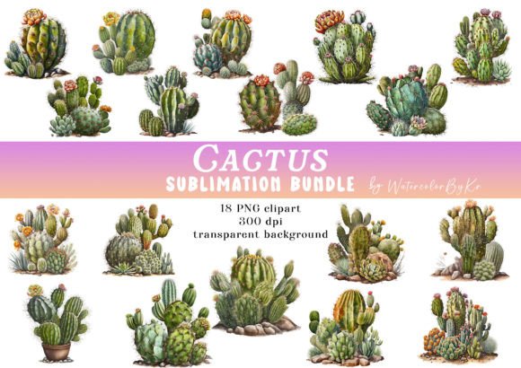 Download Watercolor Cactus Bundle PNG Clipart - Bundle Collection